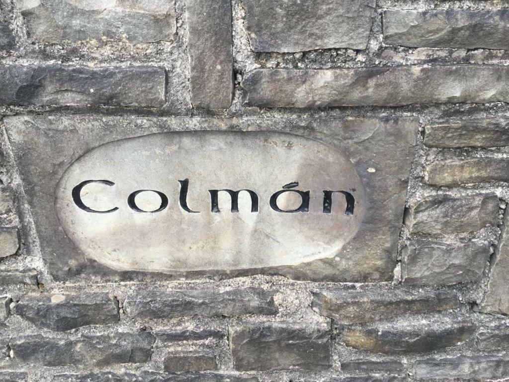 Colman House Bed and Breakfast Kilmihil Exteriör bild